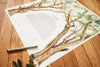 Growing Together Ketubah