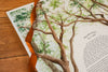 Growing Together Ketubah