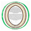 Copper Ornamental Ketubah | Tallulah Ketubahs