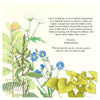 Milkweed Herbal Parents Gift | Tallulah Ketubahs