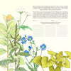 Milkweed Herbal Quaker Marriage Contract | Tallulah Ketubahs