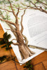Growing Together Small Print