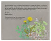 Dandelion Purslane Herbal Parents Gift | Tallulah Ketubahs