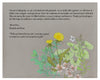 Dandelion Purslane Herbal Parents Gift | Tallulah Ketubahs