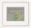 Dandelion Purslane Herbal Parents Gift | Framed | Tallulah Ketubahs