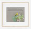 Dandelion Purslane Herbal Ketubah | Framed | Tallulah Ketubahs
