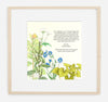 Milkweed Herbal Parents Gift | Framed | Tallulah Ketubahs